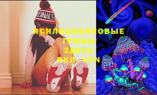 spice Балабаново