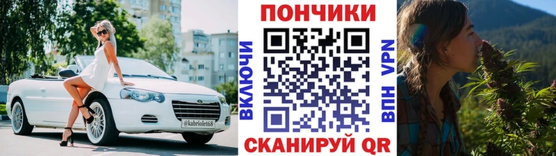 Шишки марихуана сатива  Лермонтов 